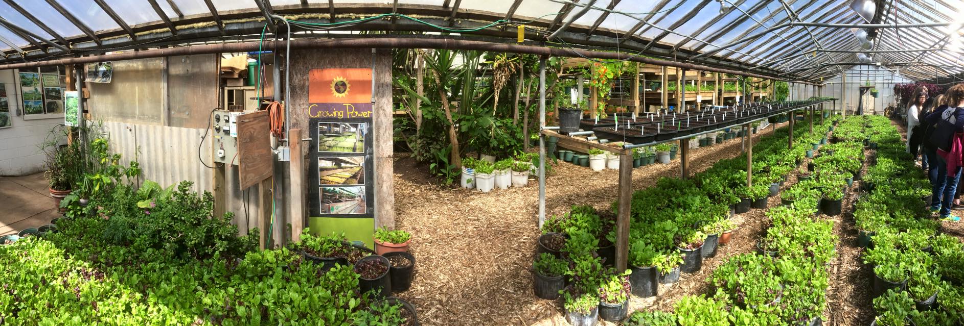 10700518_10203869762610000_6423559960961310082_o - Copy