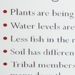 AIAN Climate Change Working Group 155