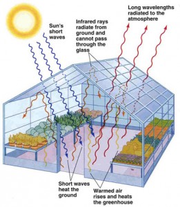 How a Greenhouse Works